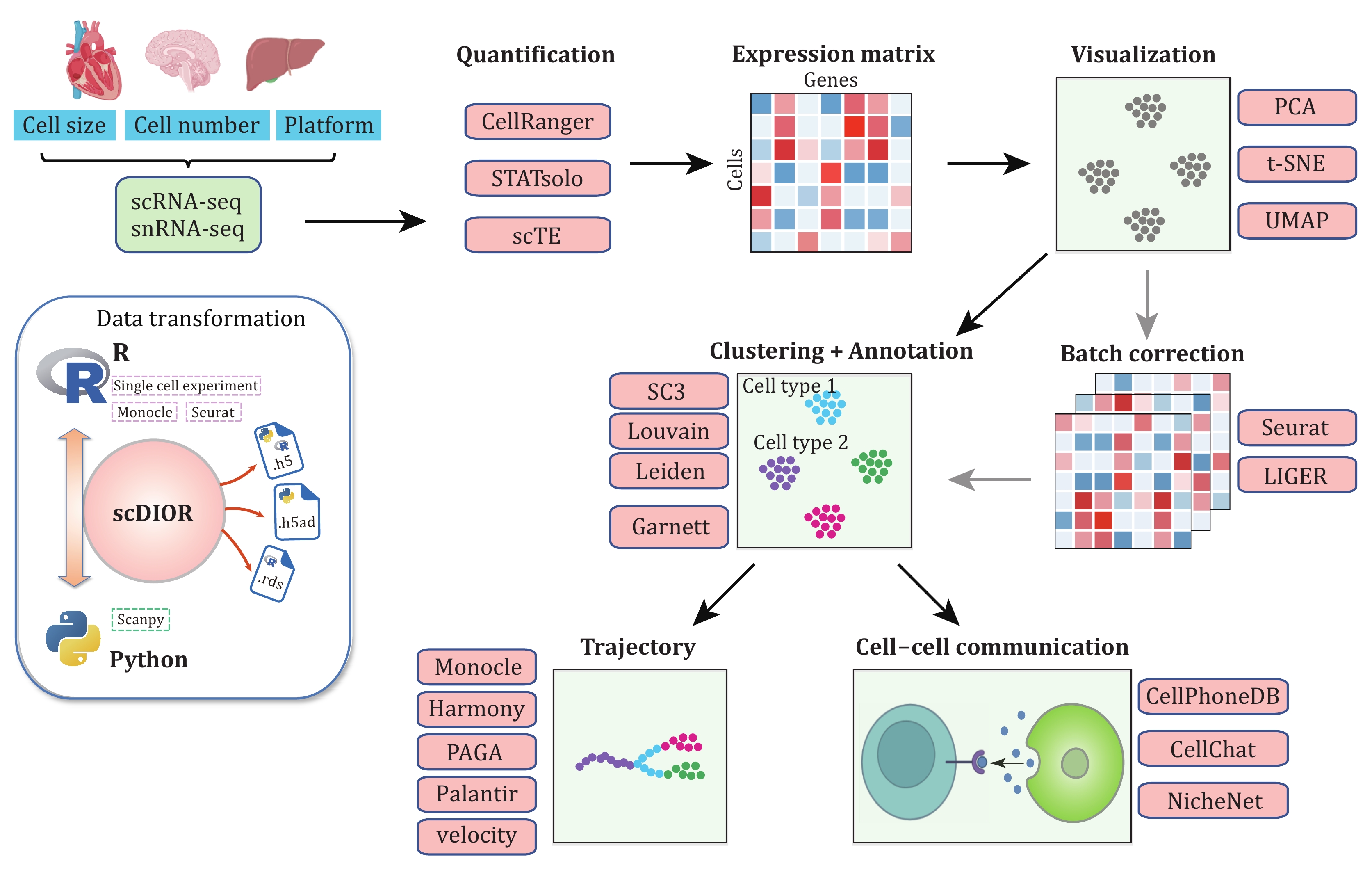 Practical bioinformatics pipelines for single-cell RNA-seq data analysis